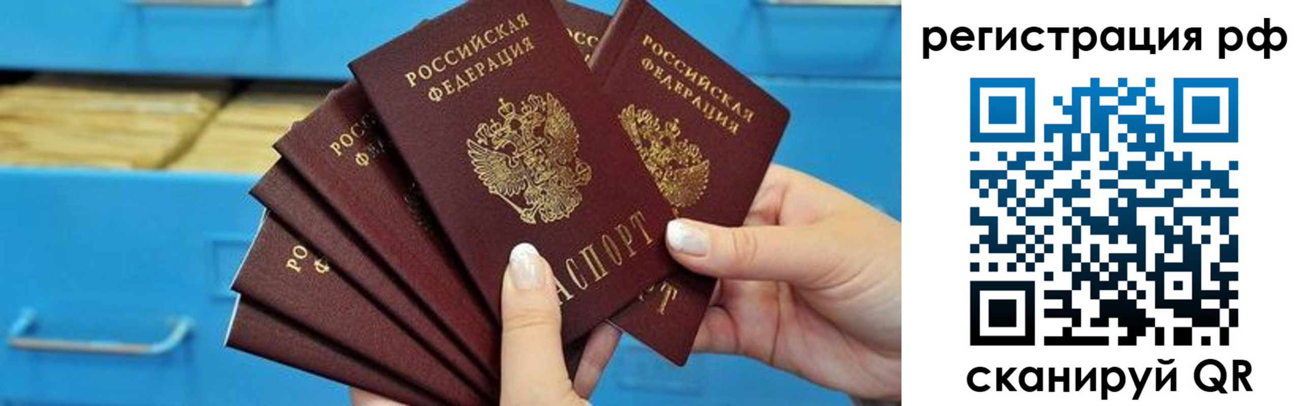найти адрес прописки в Мончегорске